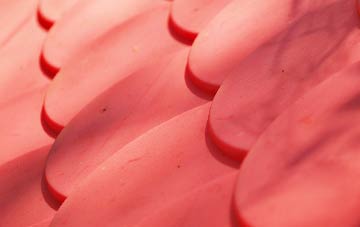 Wallyford plastic roof costs